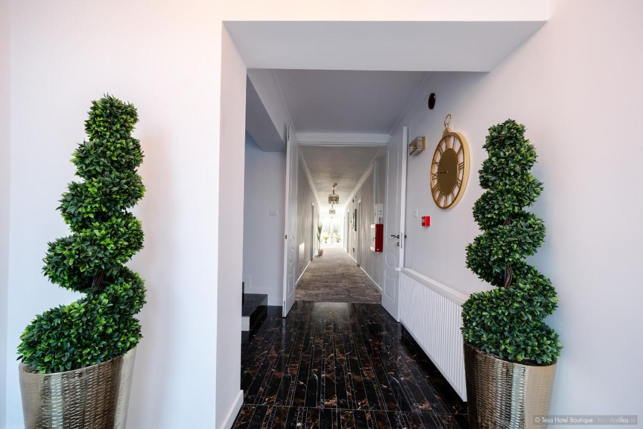 טרגו ניאמץ Tesa Boutique Hotel מראה חיצוני תמונה