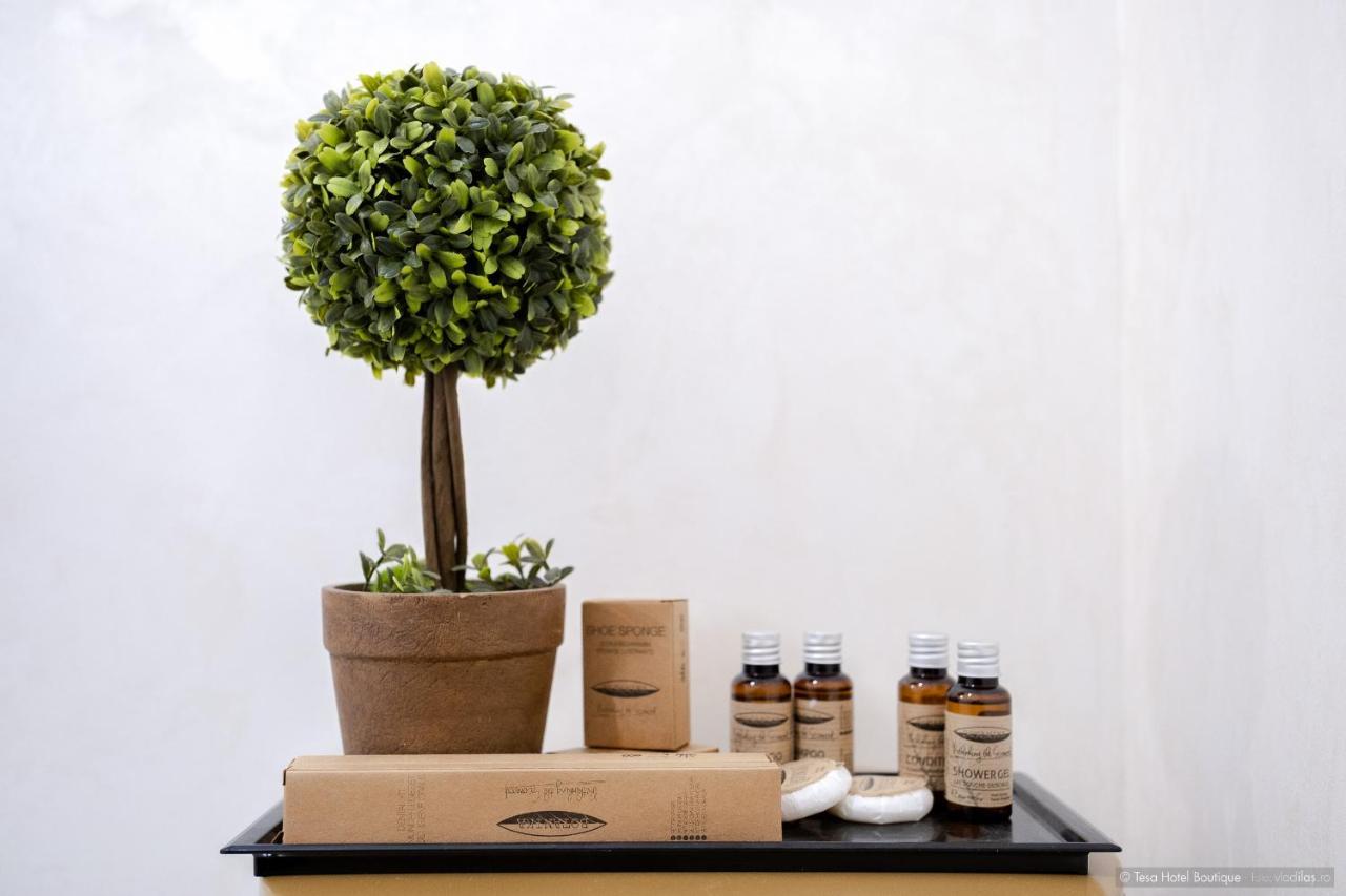 טרגו ניאמץ Tesa Boutique Hotel מראה חיצוני תמונה